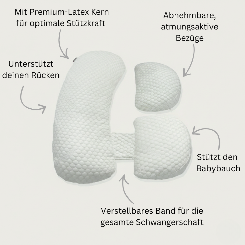 BauchNest Maternity Buddy
